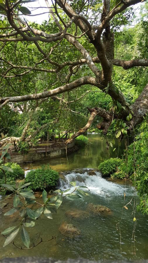 Khao Nam Fah Resort Pak Chong Exterior foto